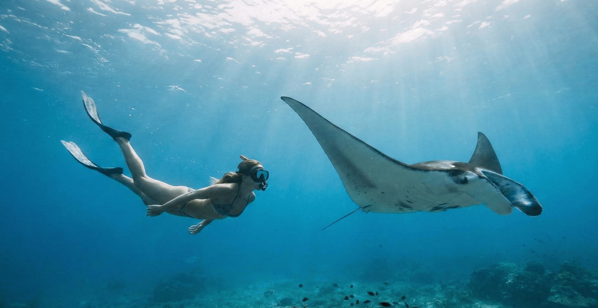 Snorkeling with Manta Rays in Nusa Penida