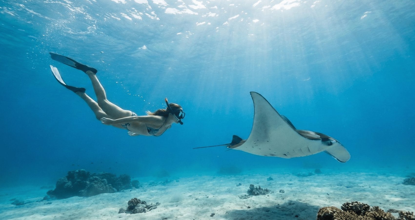 Nusa Penida Day Tour