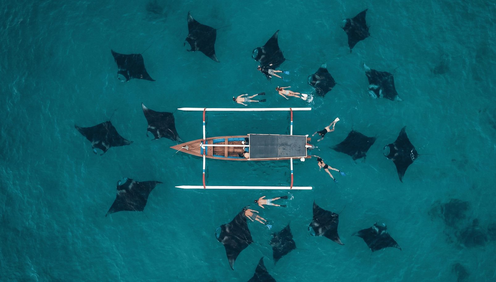 Nusa Penida Private Tour is the Only Way to Survive the Island